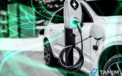 Beaten Down Global Stocks: Investing In Electric Vehicles