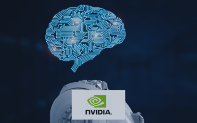 Soaring with NVIDIA: Weighing the Rewards and Risks in the AI Revolution