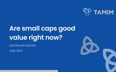 TAMIM Australian Equities – Are small caps good value right now?