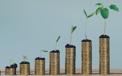 Building Wealth with Investment Fundamentals: Key Lessons for Every Investor