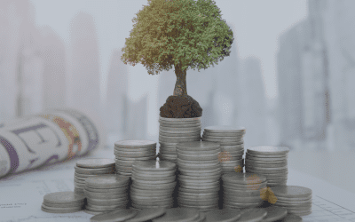 Winning Slowly: The Real Edge in Long-Term Value Investing