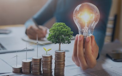 Twelve Lessons From a Turbulent Year