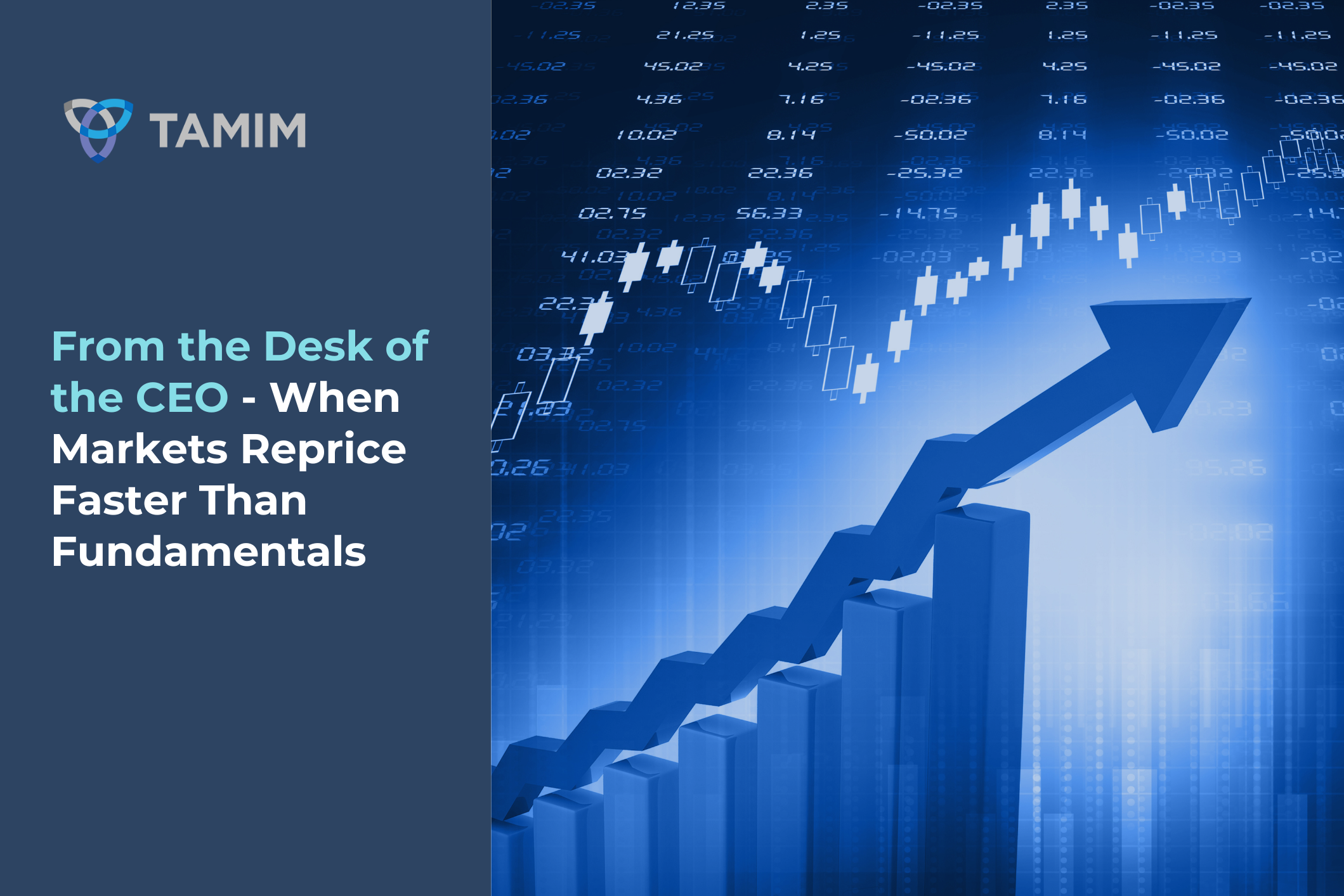 market volatility outlook, market valuation correction