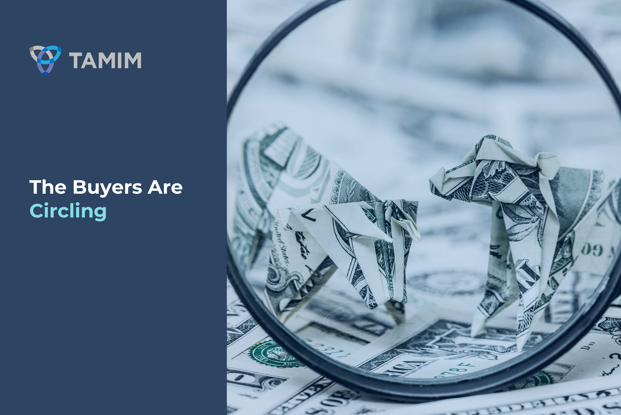 Australian small cap takeover activity increasing