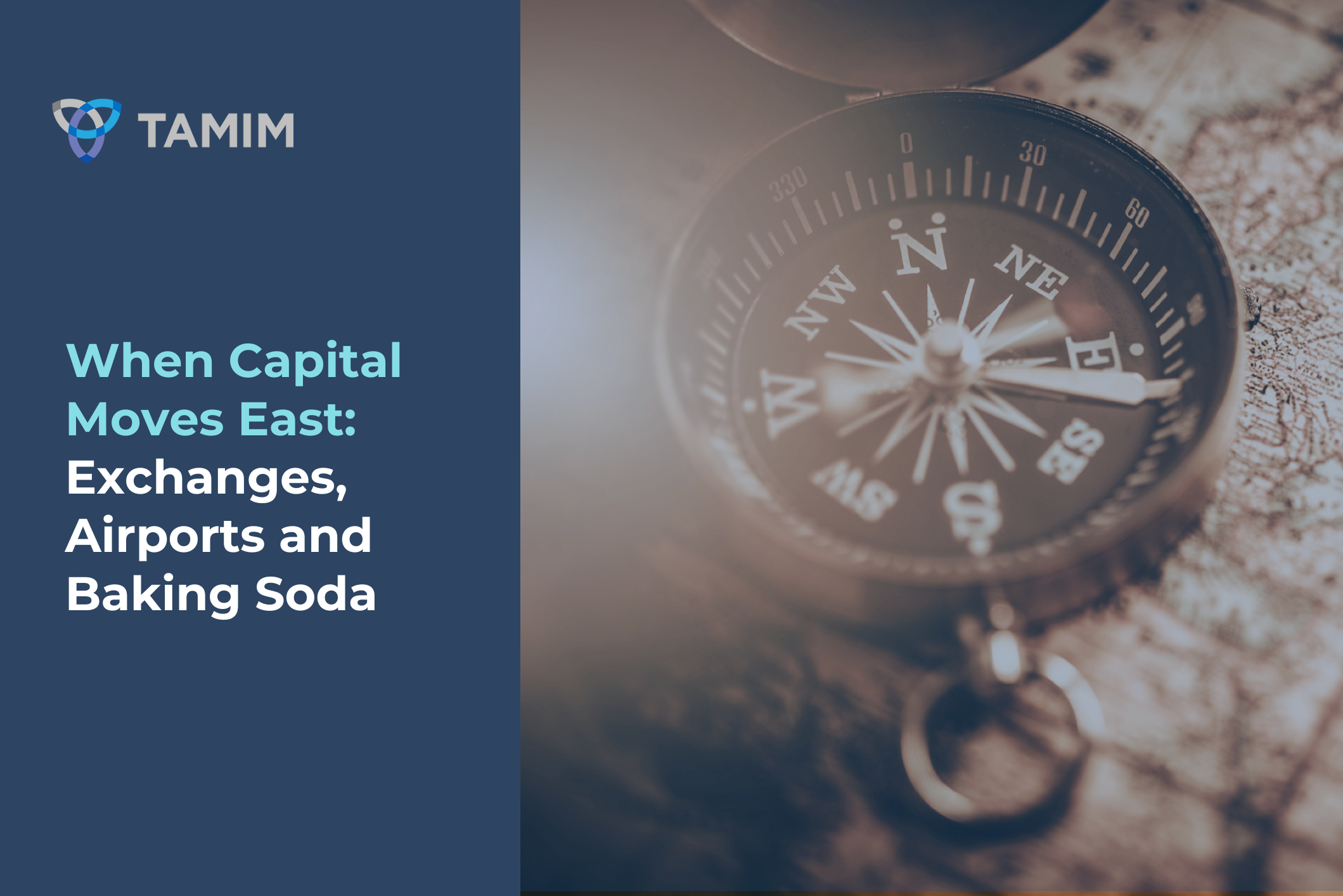 Global capital investment analysis