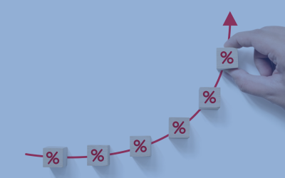 Four Hikes In: Why the Market Keeps Treating Every Retailer as the Same Retailer